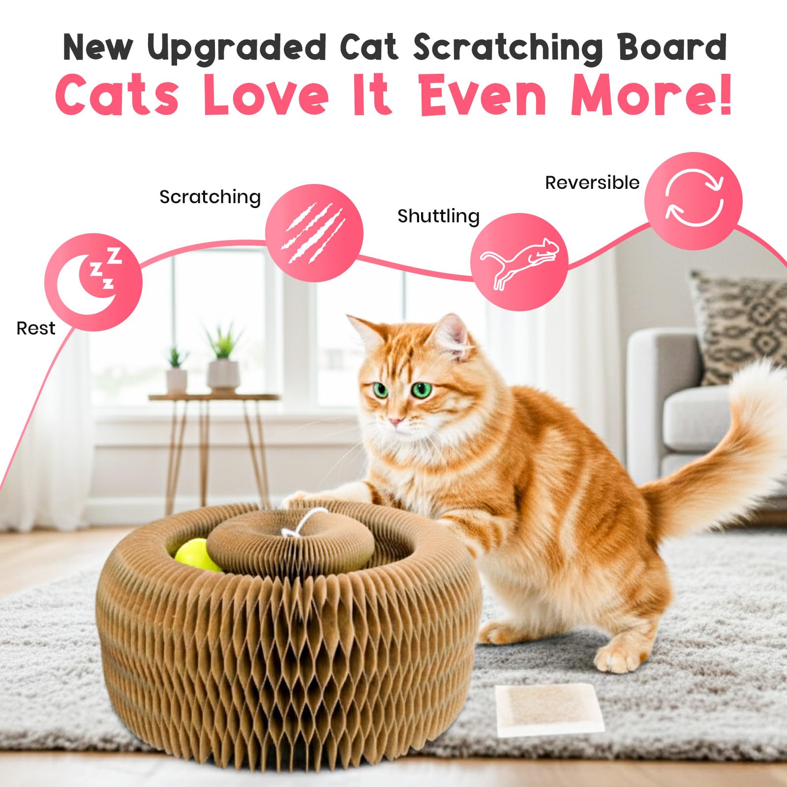 Lubana Kitty Curls interactive cardboard toy emphasizes scratch and explore.