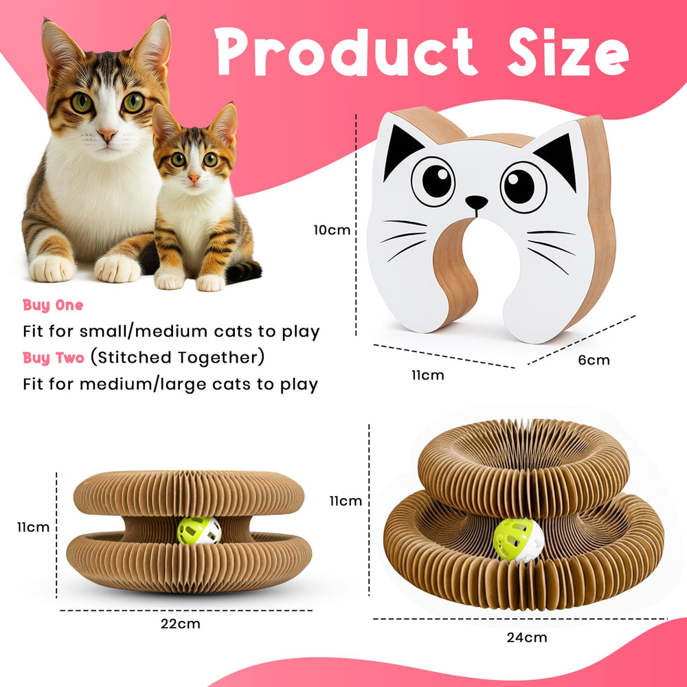 Lubana Kitty Curls foldable setup demonstrated for portable home play.