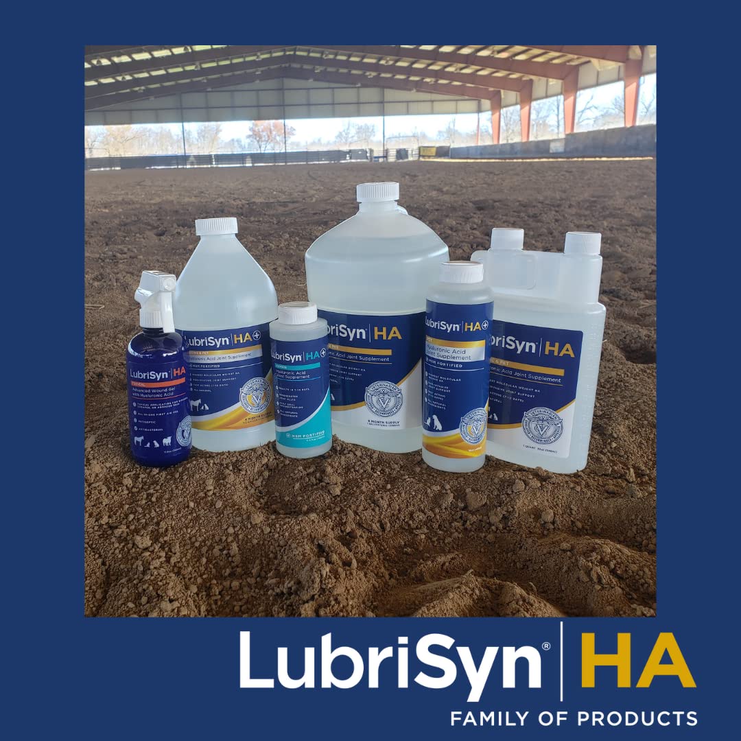 LubriSynHA supports routines to keep pets active and comfortable.