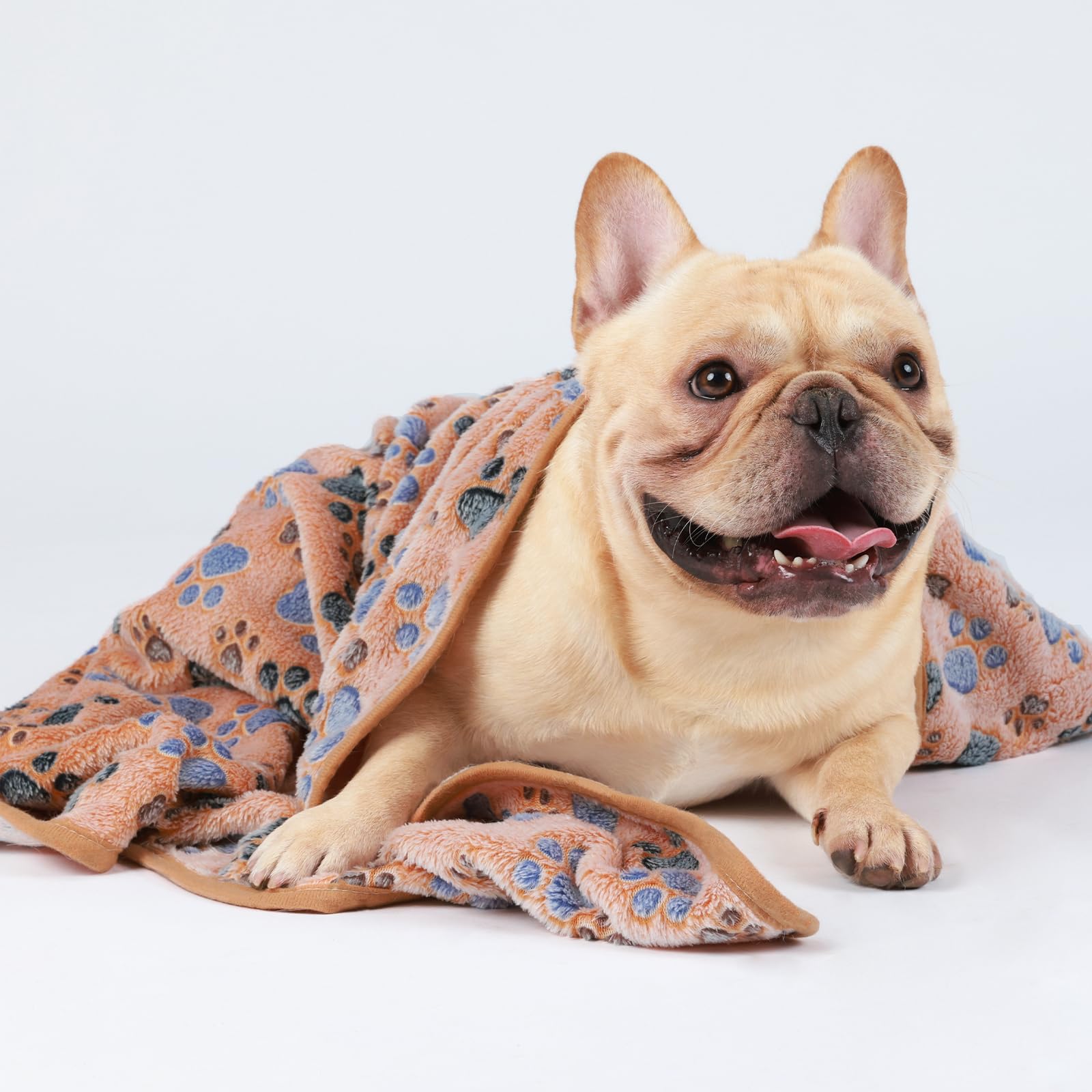 Luciphia blanket is lightweight and portable for travel and outdoor use.