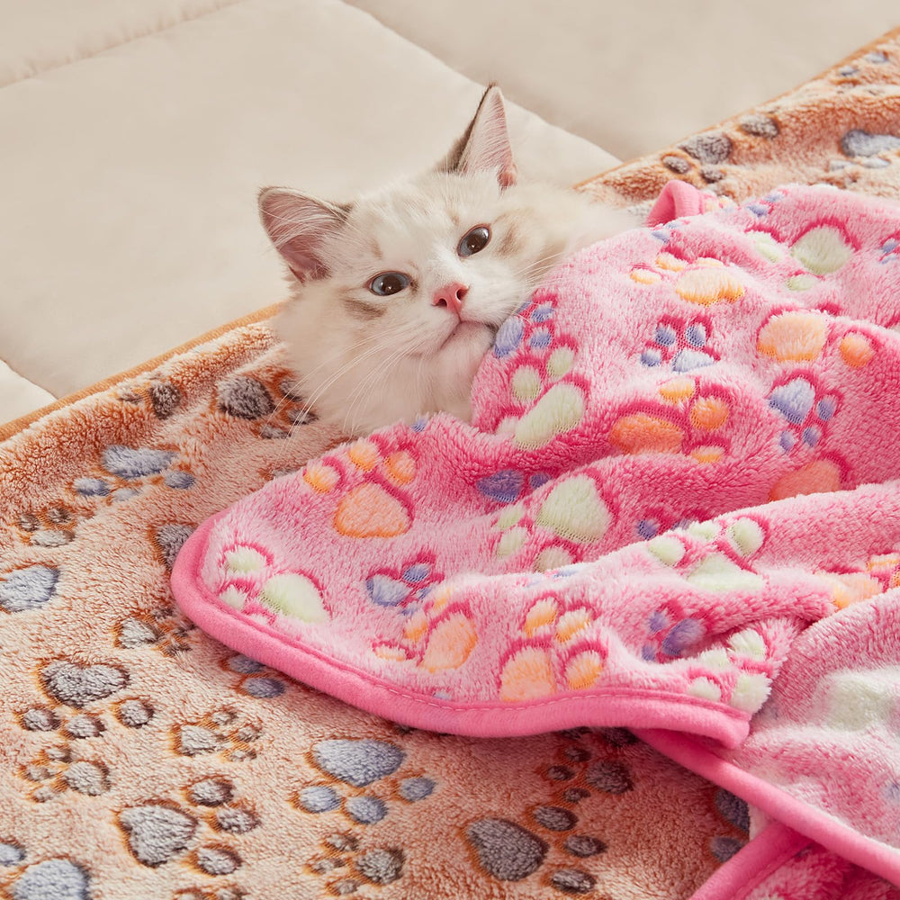 Luciphia size options include small, medium, and large for different pets.