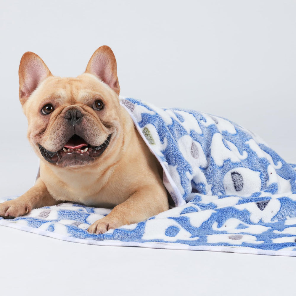 Luciphia blanket machine washable for easy care.