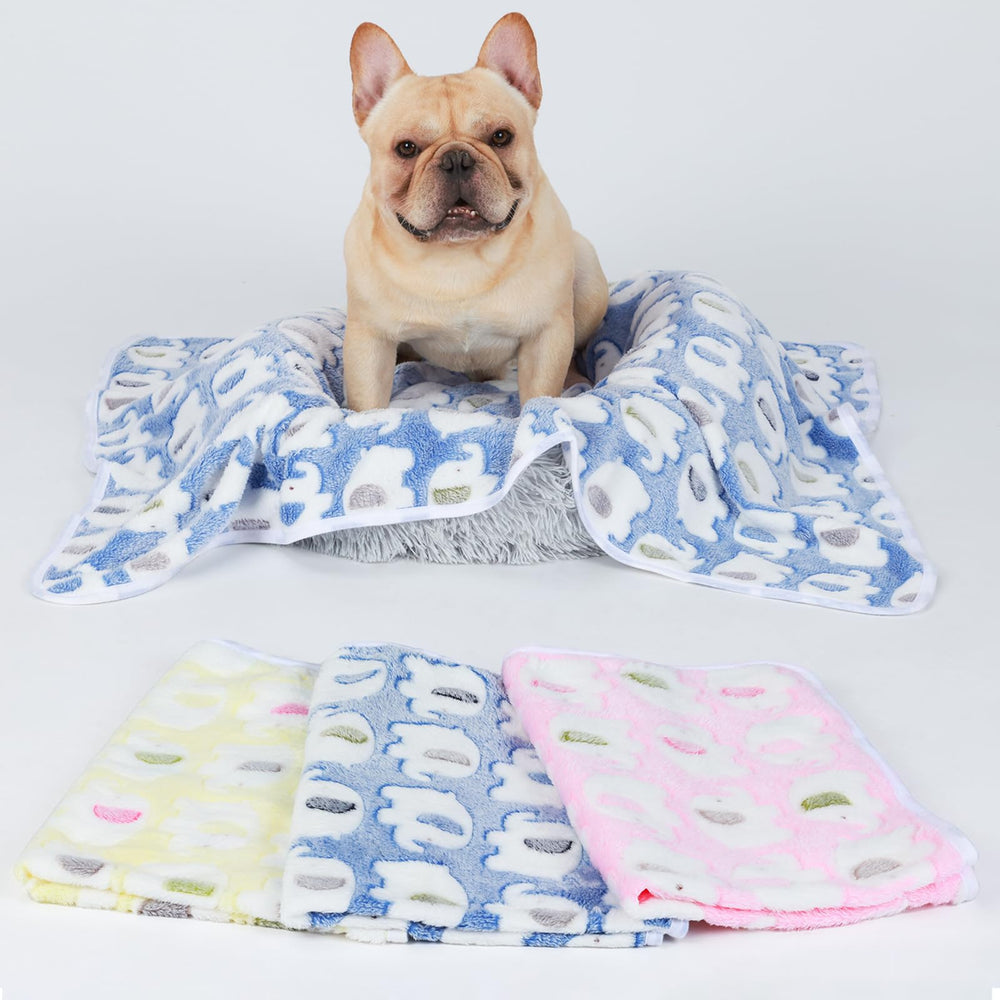Luciphia travel-ready blanket, lightweight for outdoor use.