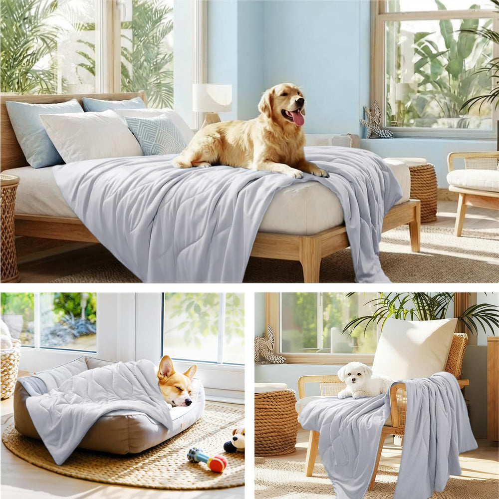 Luciphia cooling blanket as pet mat for naps and lounging