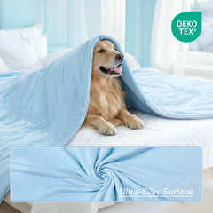 Luciphia cooling blanket with a puppy demonstrates gentle comfort during naps