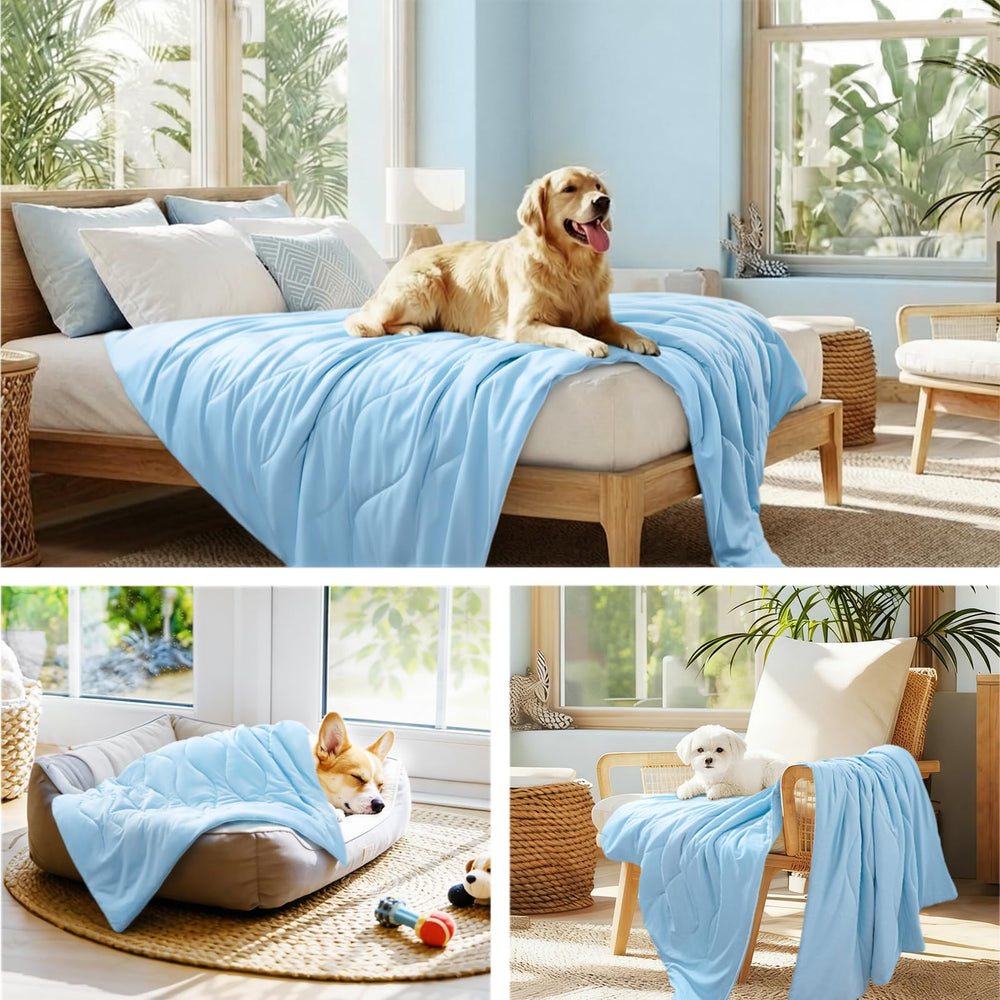Luciphia cooling blanket serves as a travel mat for on-the-go pets