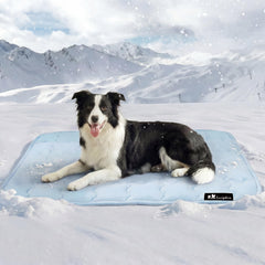 Luciphia cooling mat with non-slip back keeps pets secure on floors.