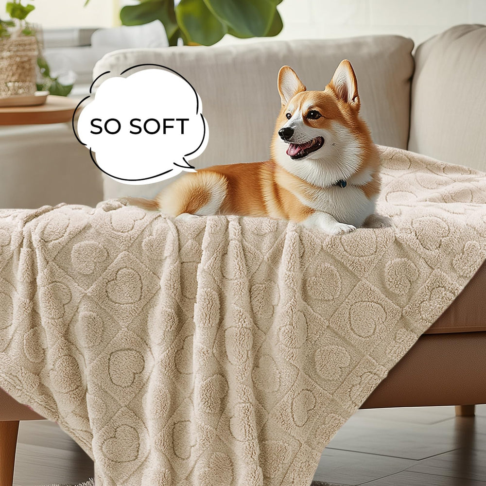 Luciphia couch protection blanket guarding upholstery while keeping pets warm.