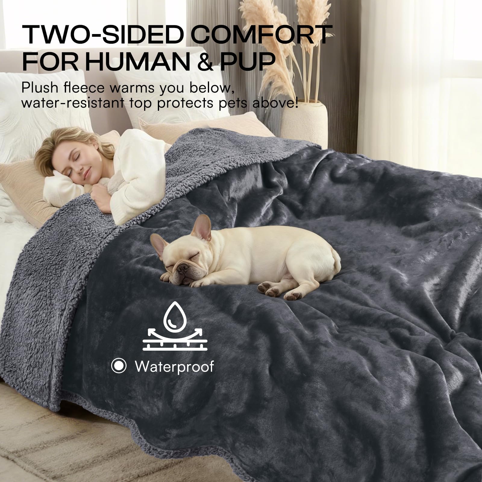 Luciphia dark gray pet blanket coordinating with modern living room decor