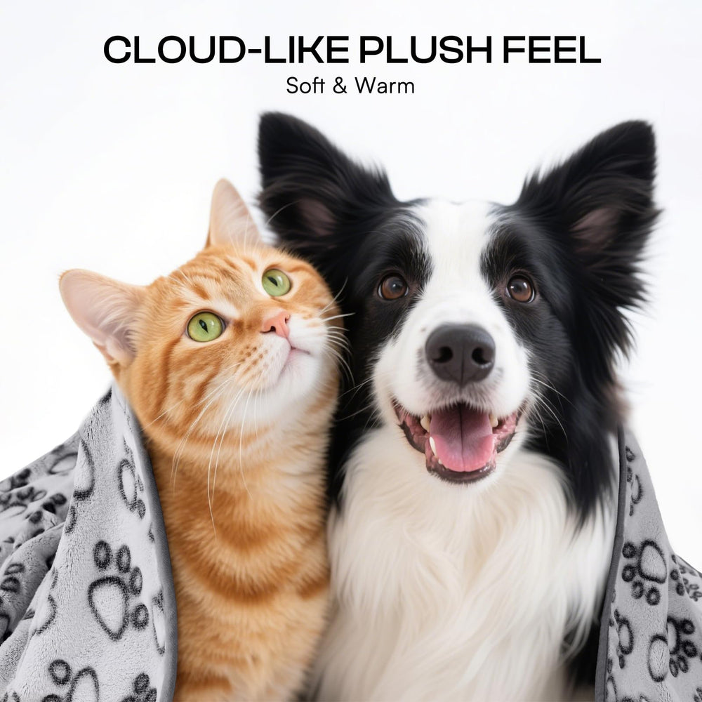 Luciphia fluffy fleece blanket close-up shows ultra-soft texture for cozy pets.