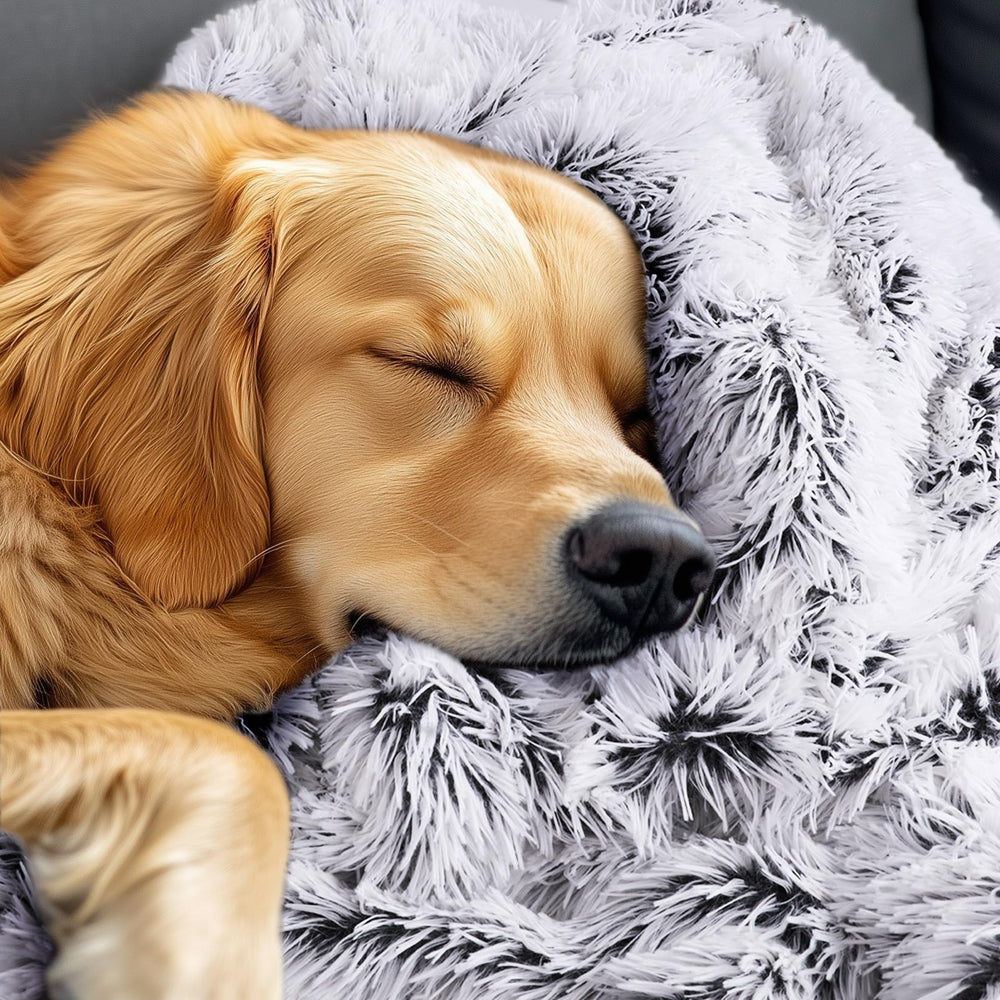 Luciphia large waterproof dog blanket mist grey color complements home décor