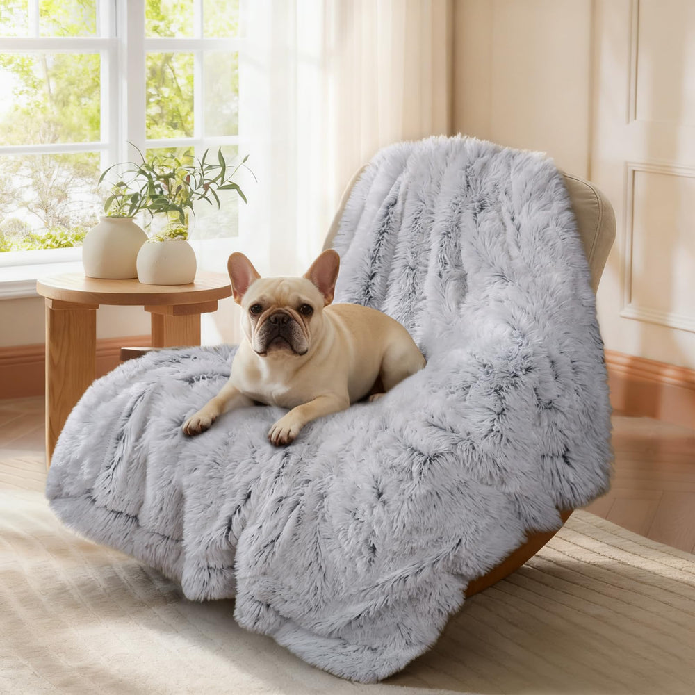 Luciphia large waterproof dog blanket travel usage demonstrates portable protection on the go