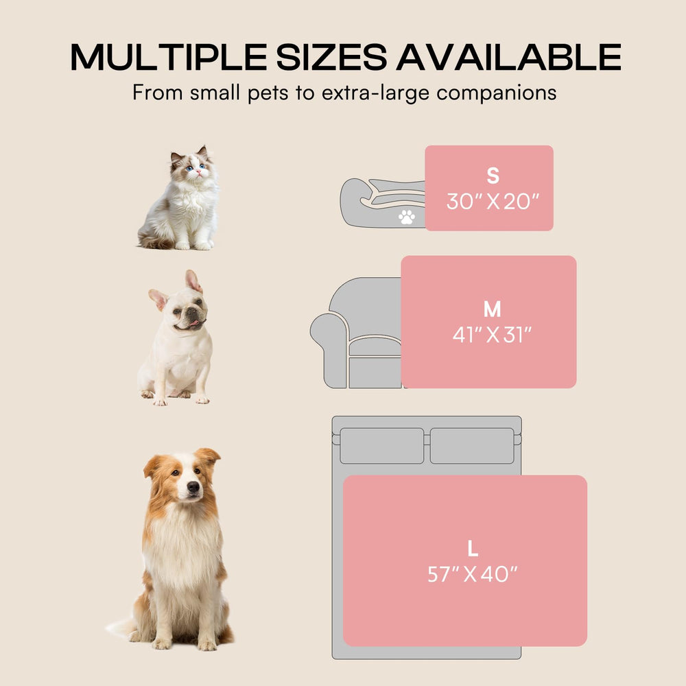 Luciphia two-pack option supports versatile setups for multiple pets.