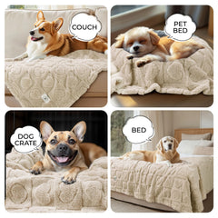 Luciphia machine washable pet blanket easy to clean after playtime.