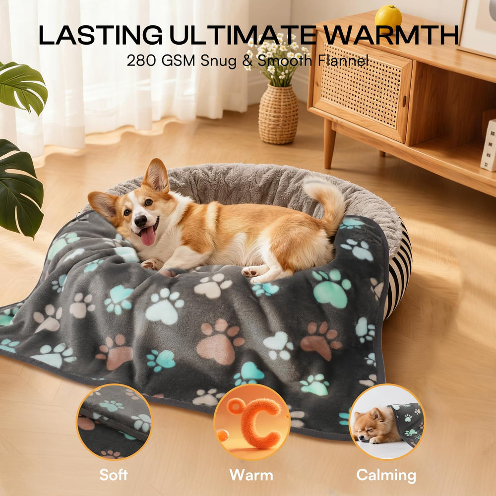 Luciphia machine washable pet blanket for effortless post-activity cleaning.