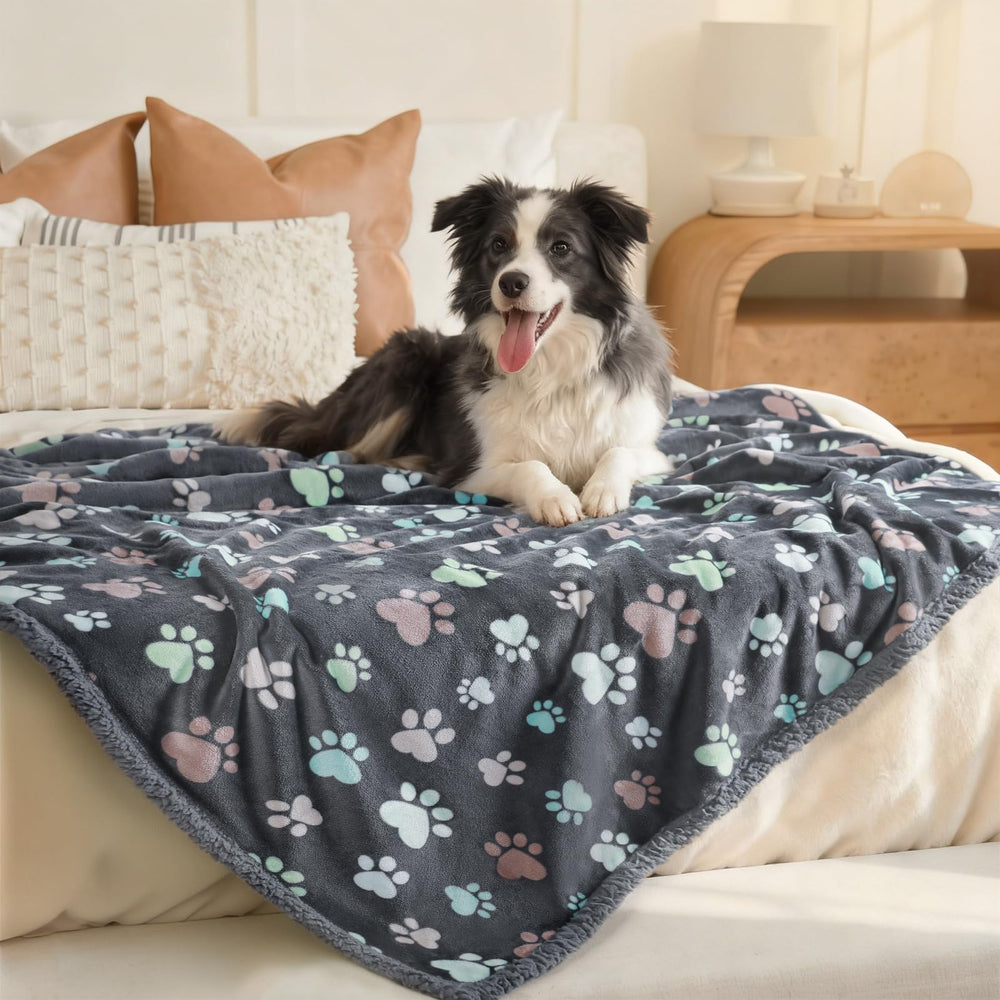 Luciphia pet blanket with dog relaxing comfortably on soft surface