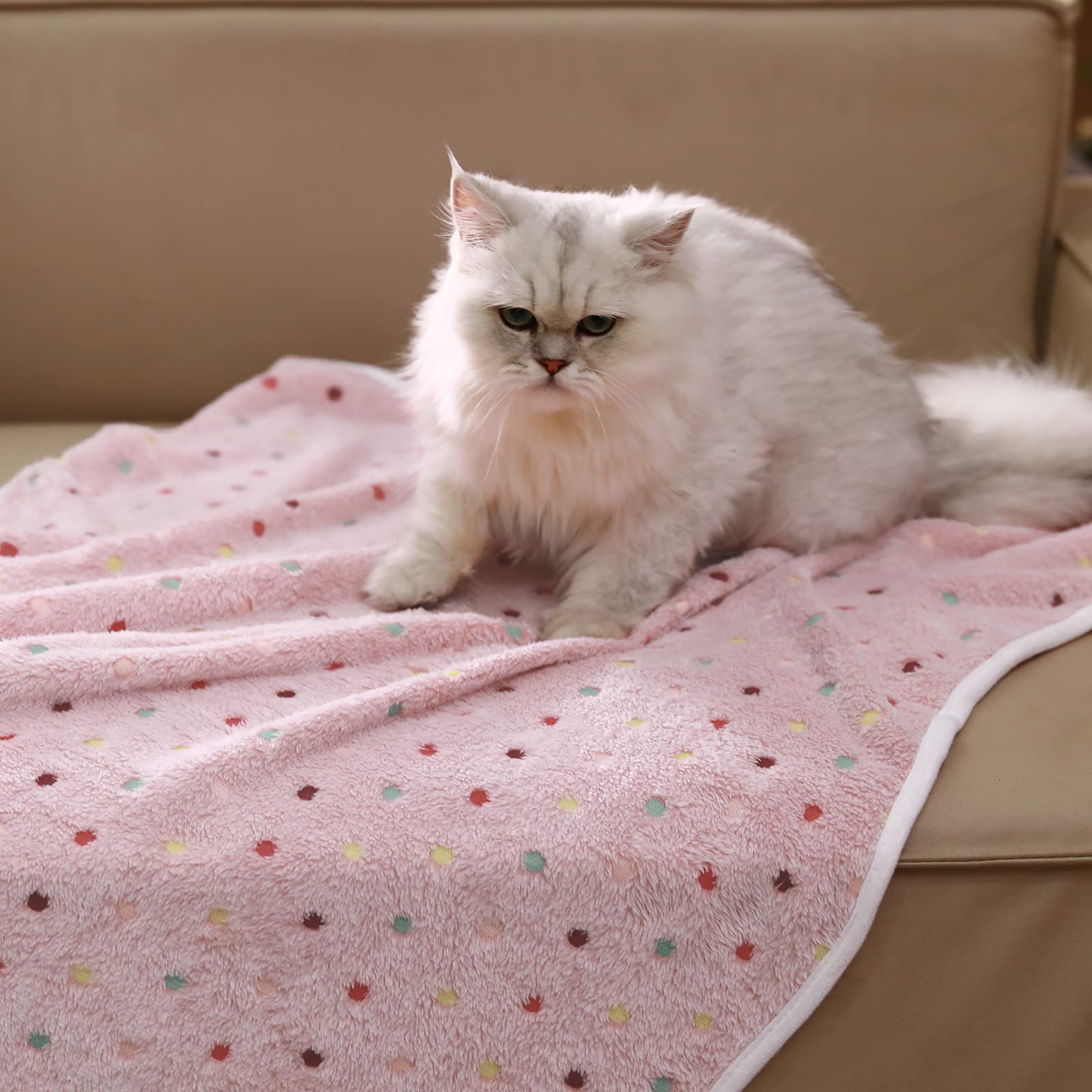Luciphia dot-pattern blanket set provides soft warmth for pets