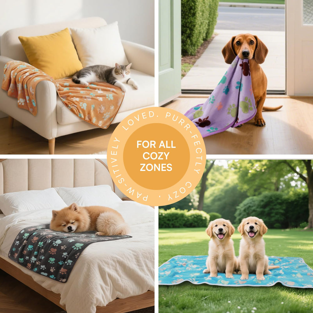 Luciphia six blanket value pack for pets and multi-room use.