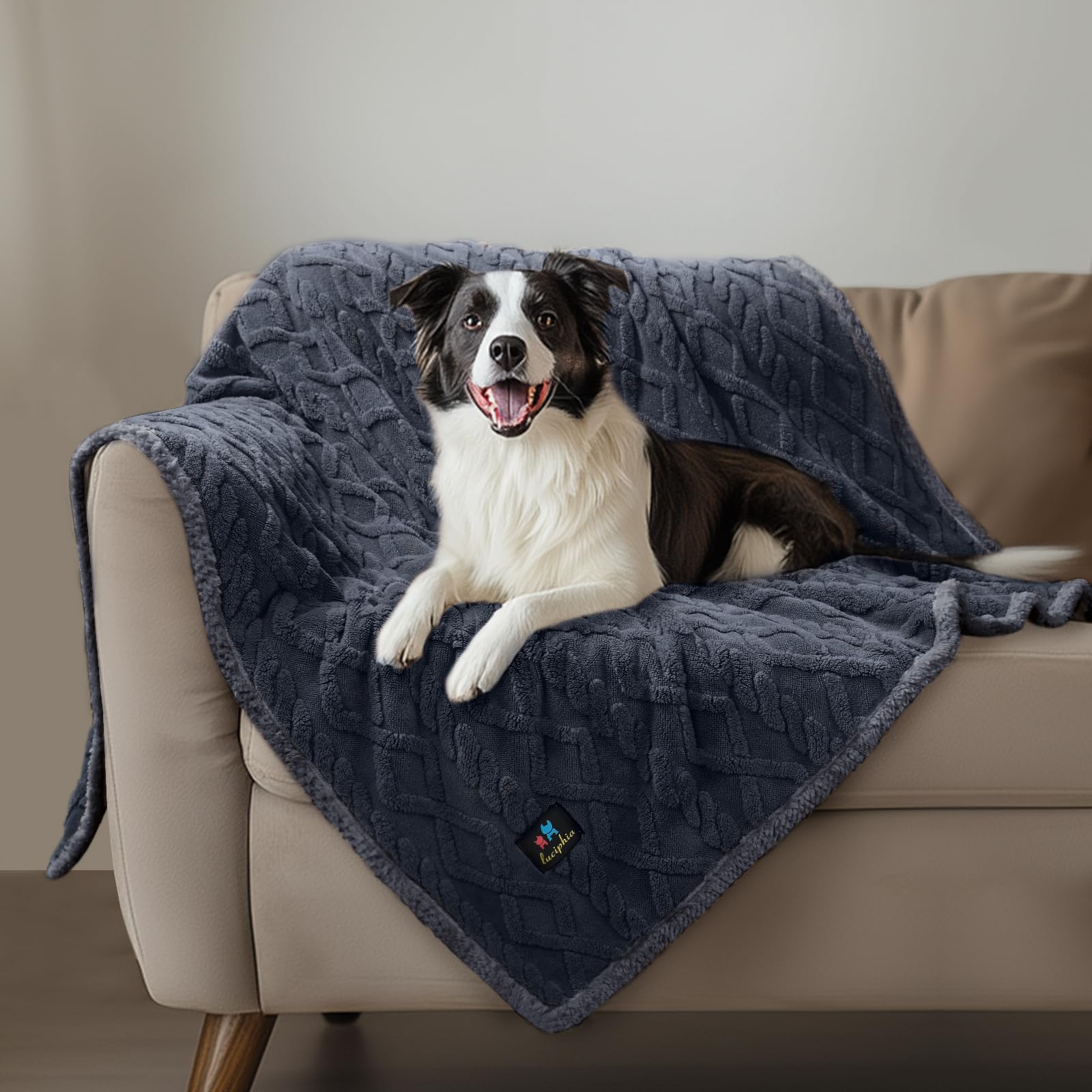 Luciphia pet blanket minimizes hair on furniture with quick cleanup.