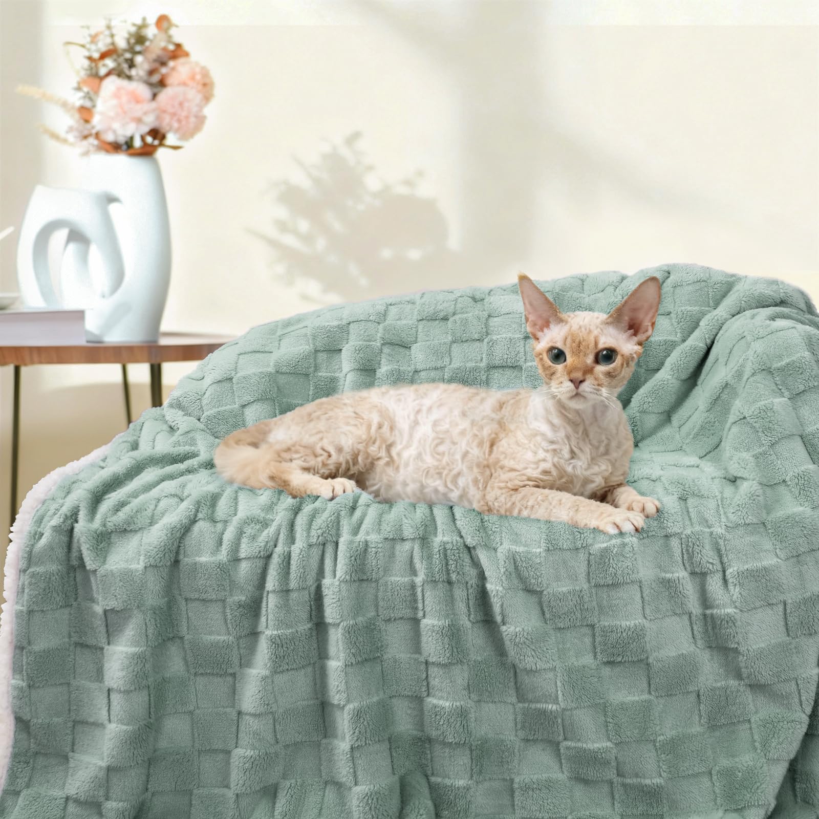 Luciphia sage-green blanket on couch complements home decor.