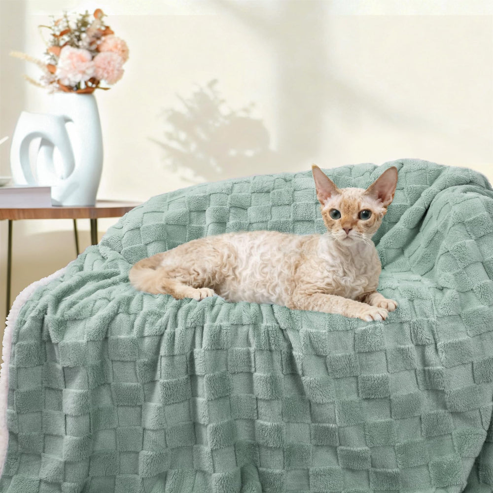 Luciphia sage-green blanket on couch complements home decor.