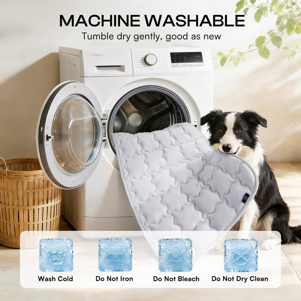 Luciphia size medium 30x40 supports medium dogs with comfort.