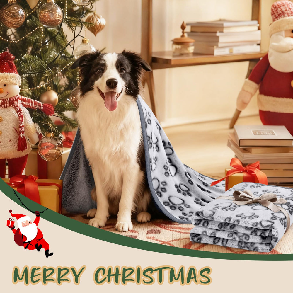 Two-pack Luciphia dog blankets in packaging for value