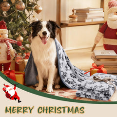 Two-pack Luciphia dog blankets in packaging for value