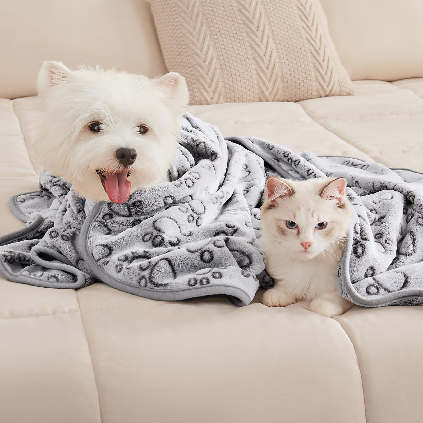 Luciphia value-pack pet blanket, convenient multi-pack for households