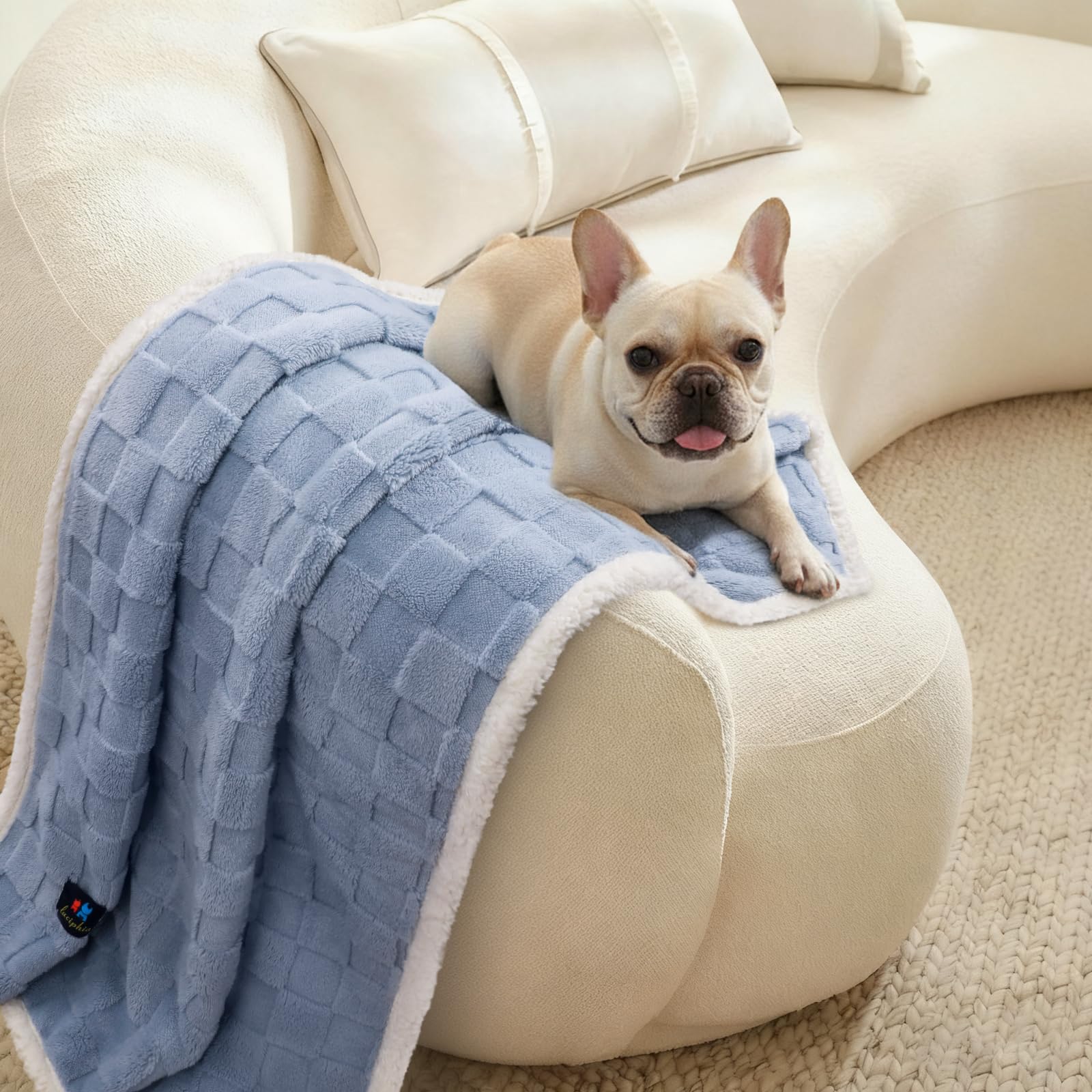 Luciphia waterproof dog blanket blue white color complements home decor
