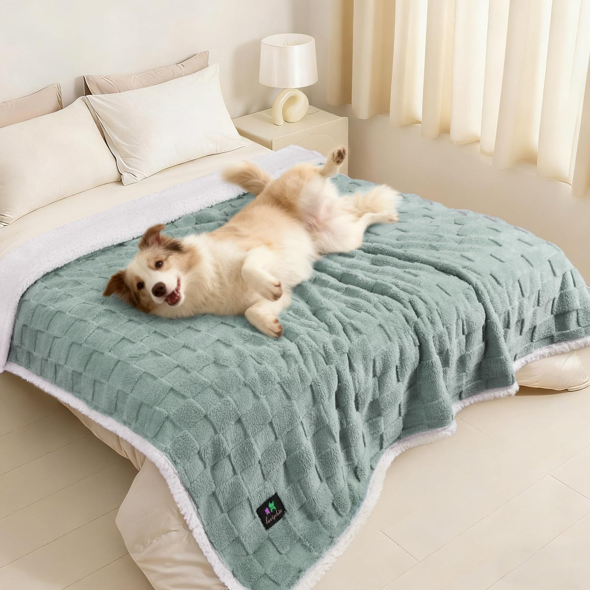 Luciphia waterproof dog blanket cover protecting a sofa from spills and fur.