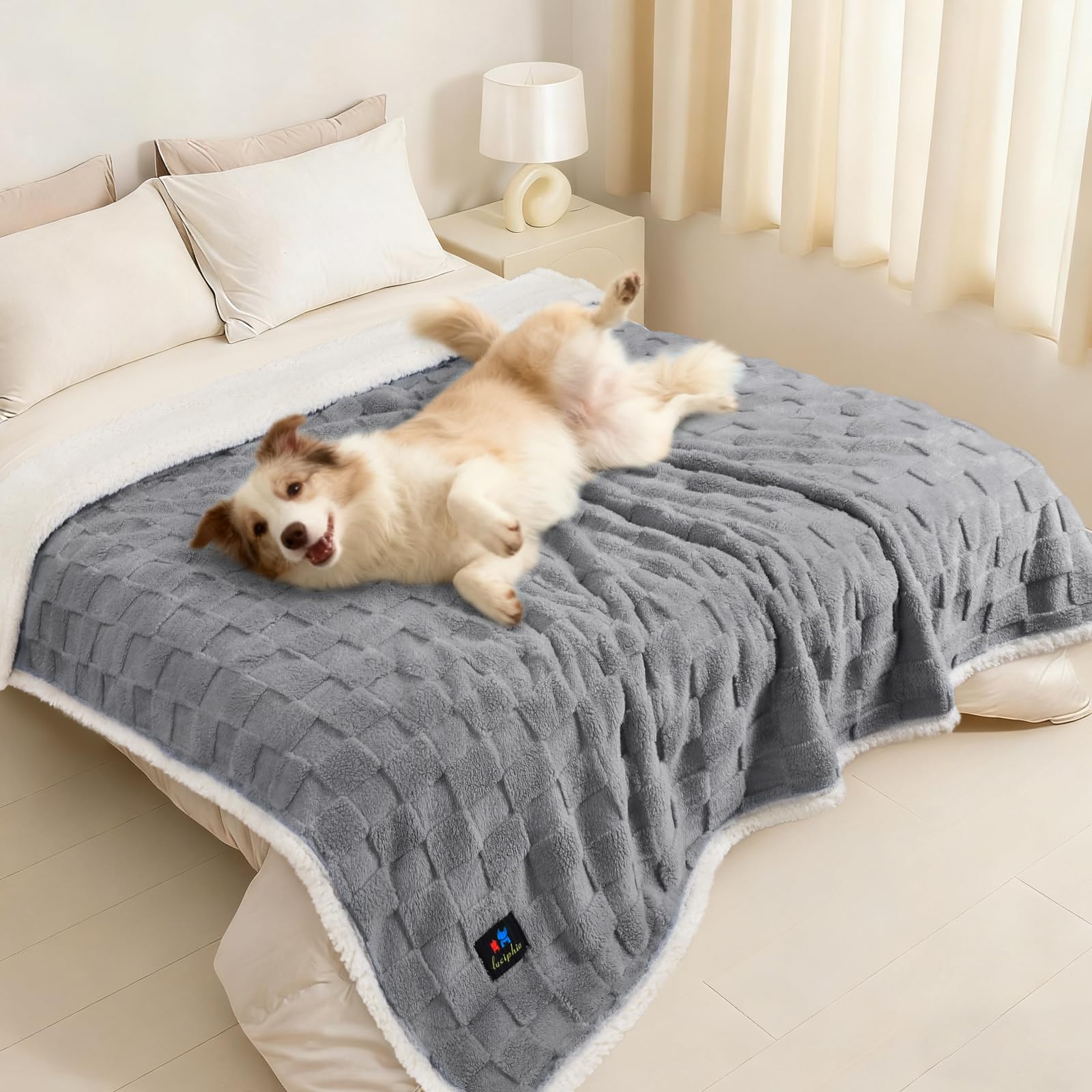 Luciphia waterproof dog blanket gray on couch protects furniture with cozy softness