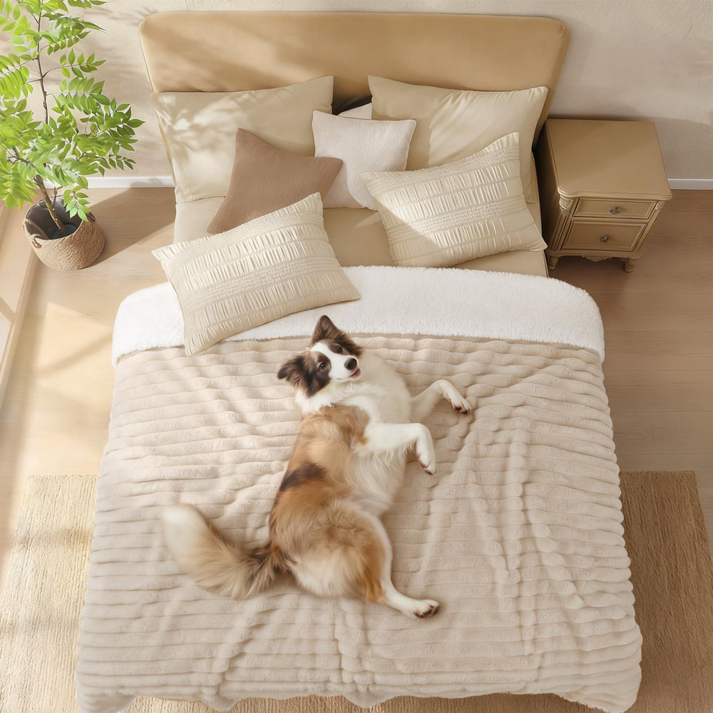 Luciphia waterproof dog blanket large on sofa demonstrates furniture protection and comfort