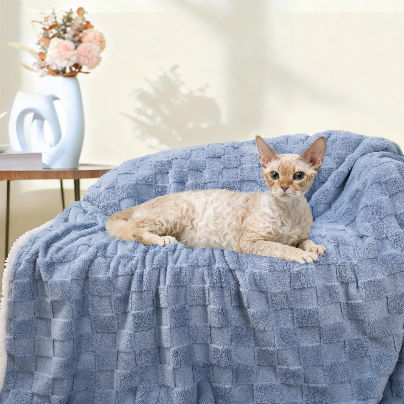 Luciphia waterproof dog blanket machine-washable for easy cleaning after outdoor use