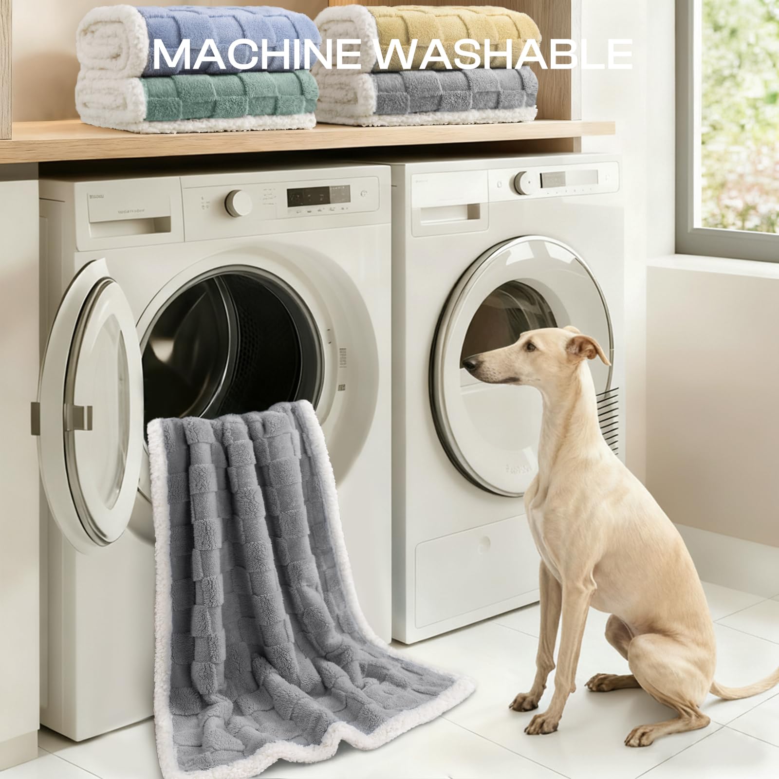Luciphia waterproof dog blanket rolled for storage demonstrates easy portability
