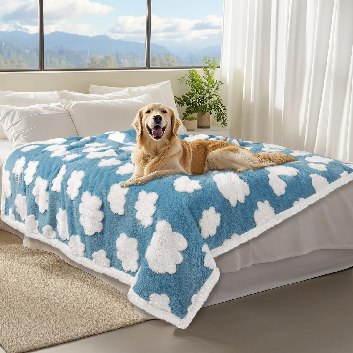 Luciphia waterproof dog blanket on a sofa protecting furniture from fur and spills