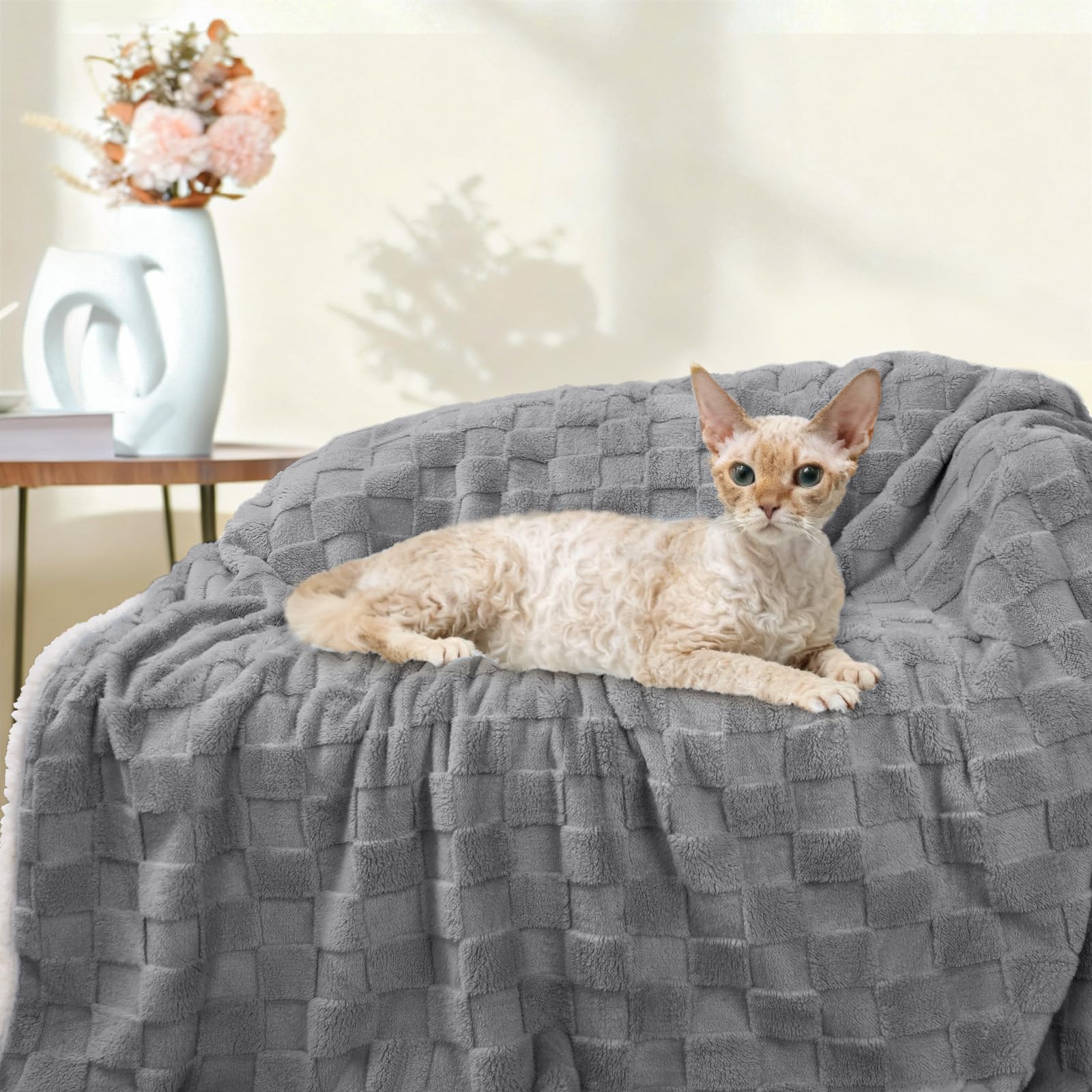 Luciphia waterproof dog blanket hidden waterproof layer blocks spills on contact