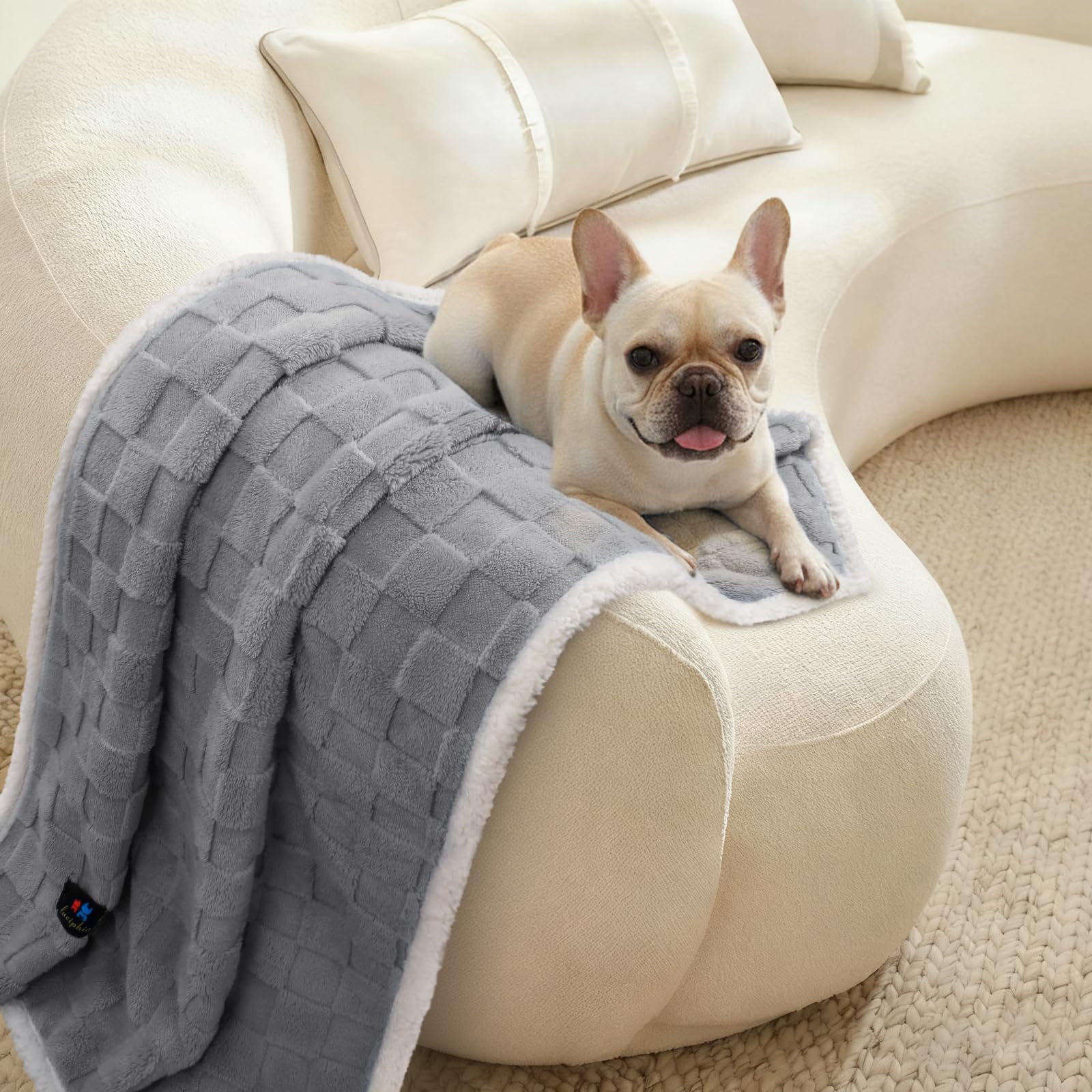 Luciphia waterproof dog blanket XL size provides expansive coverage for larger pets
