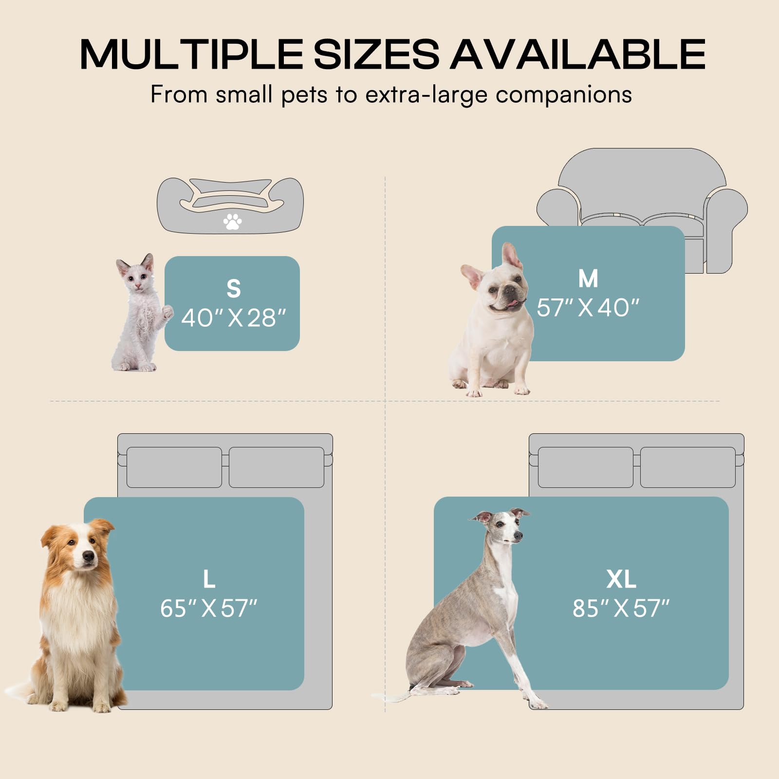 Cat and dog use scenarios with Luciphia blue blanket