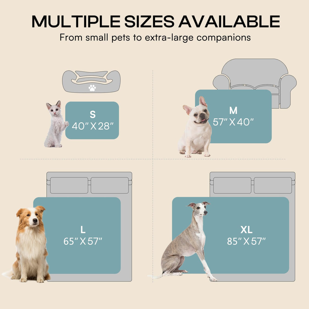 Cat and dog use scenarios with Luciphia blue blanket