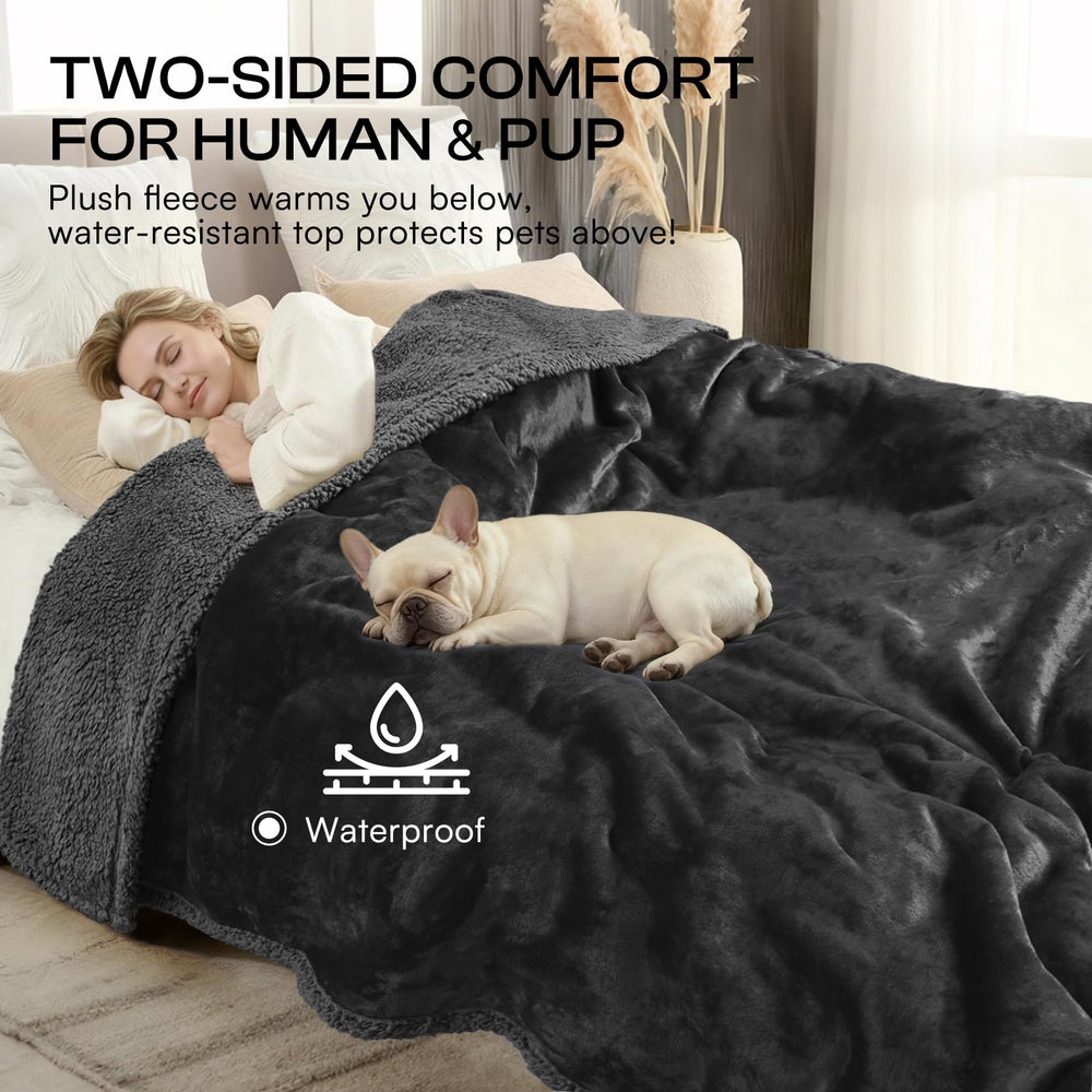 Luciphia blanket suitable for dogs and cats at home.