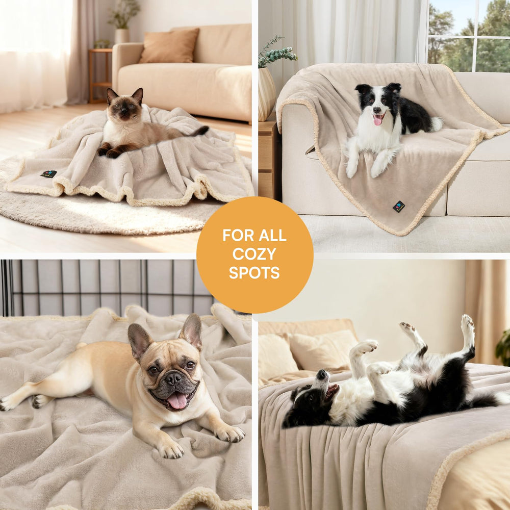 Luciphia blanket is durable and scratch-resistant for busy multi-pet homes.