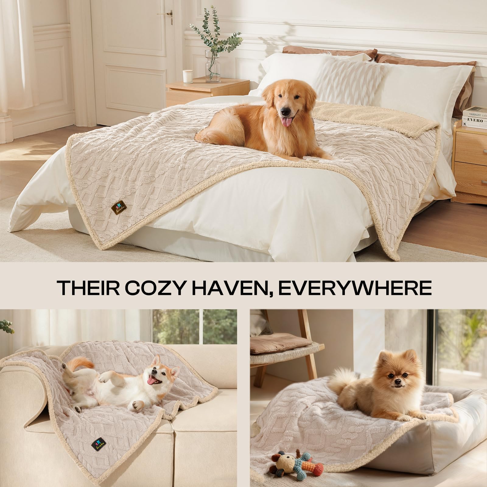 Soft fleece surface of Luciphia blanket ideal for couch lounging