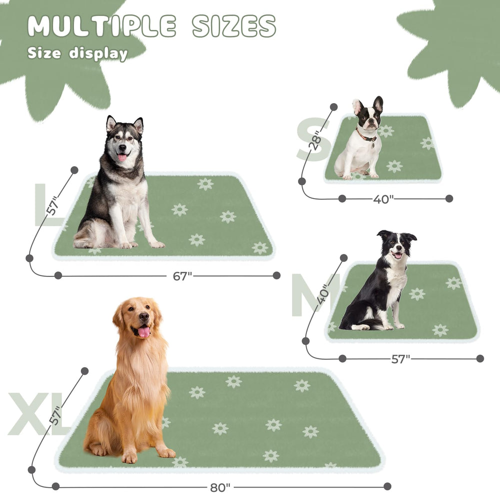 Green blanket on furniture guards against pawing and shedding.