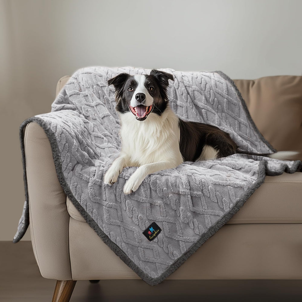Light grey color option displayed on sofa