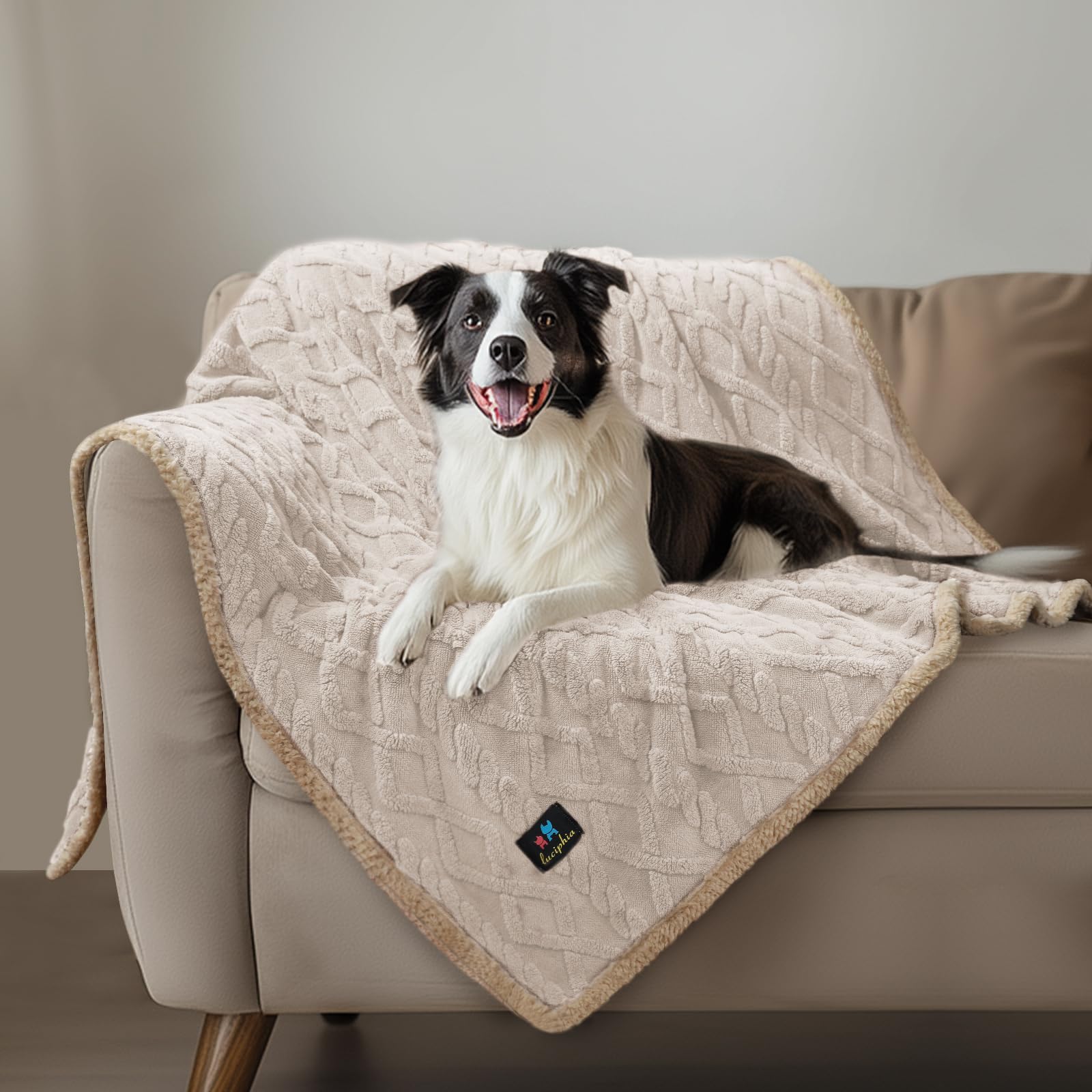 Luciphia blanket covering couches, beds, and car seats for versatile use