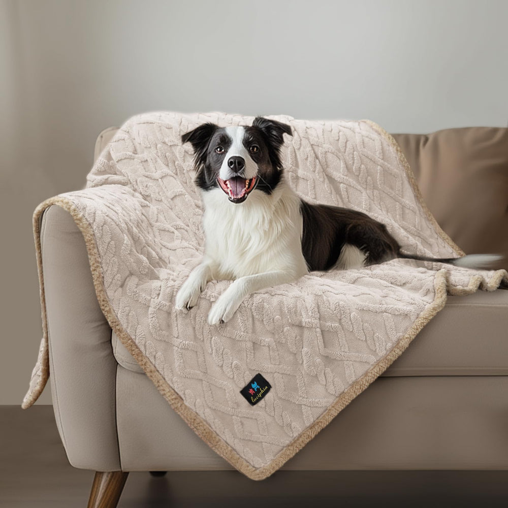 Luciphia blanket covering couches, beds, and car seats for versatile use
