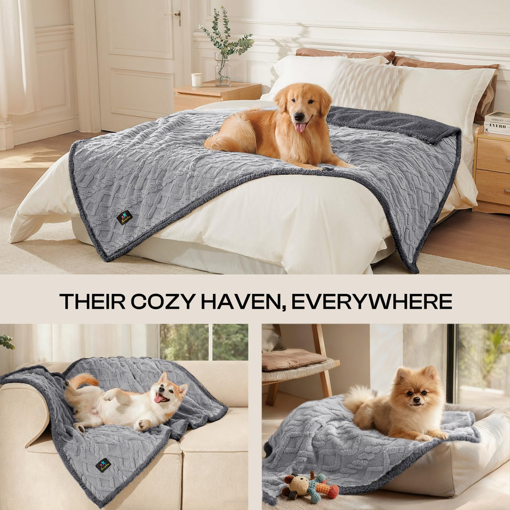 Luciphia blanket on sofa for cat and dog comfort