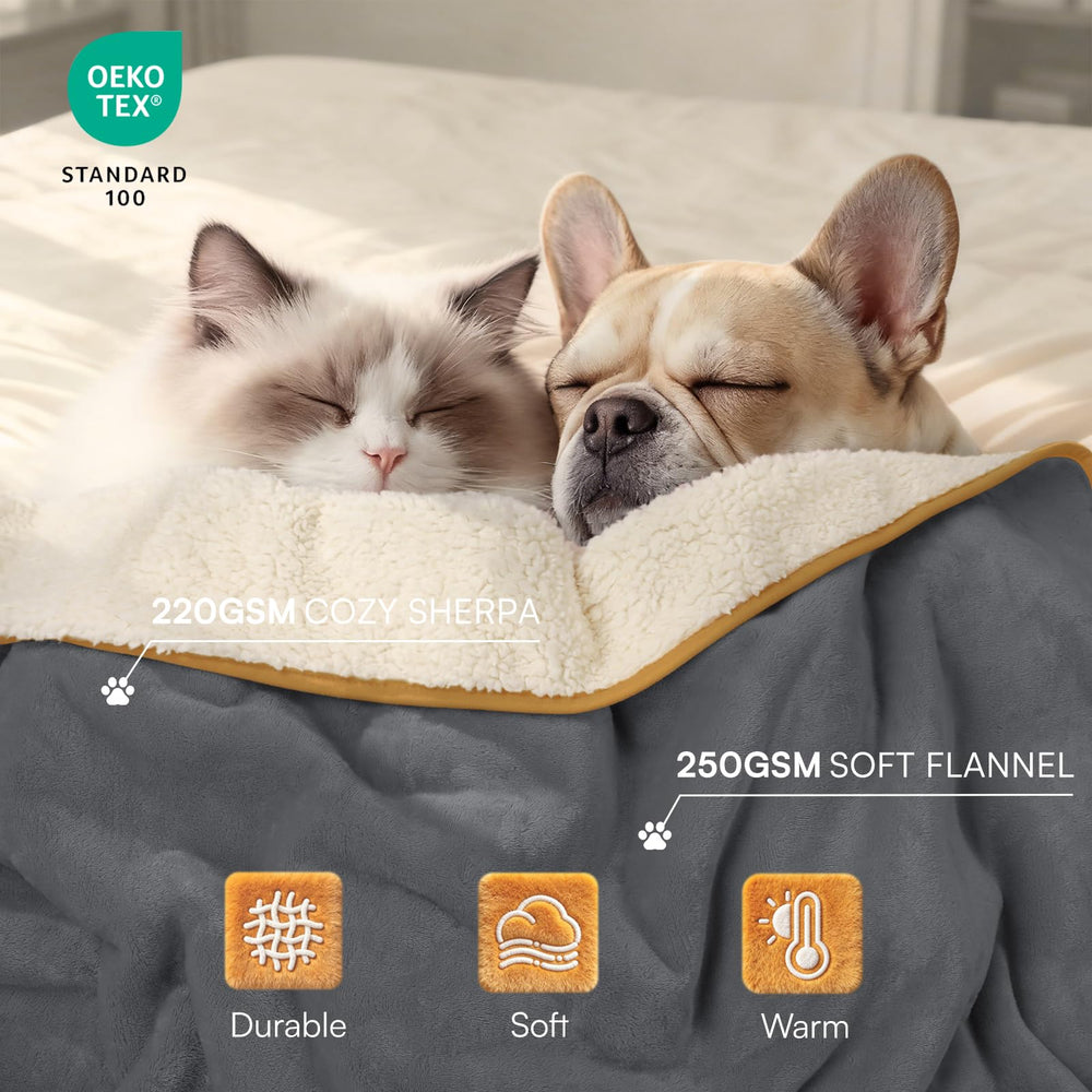 Reversible Sherpa side of Luciphia blanket adds extra warmth.
