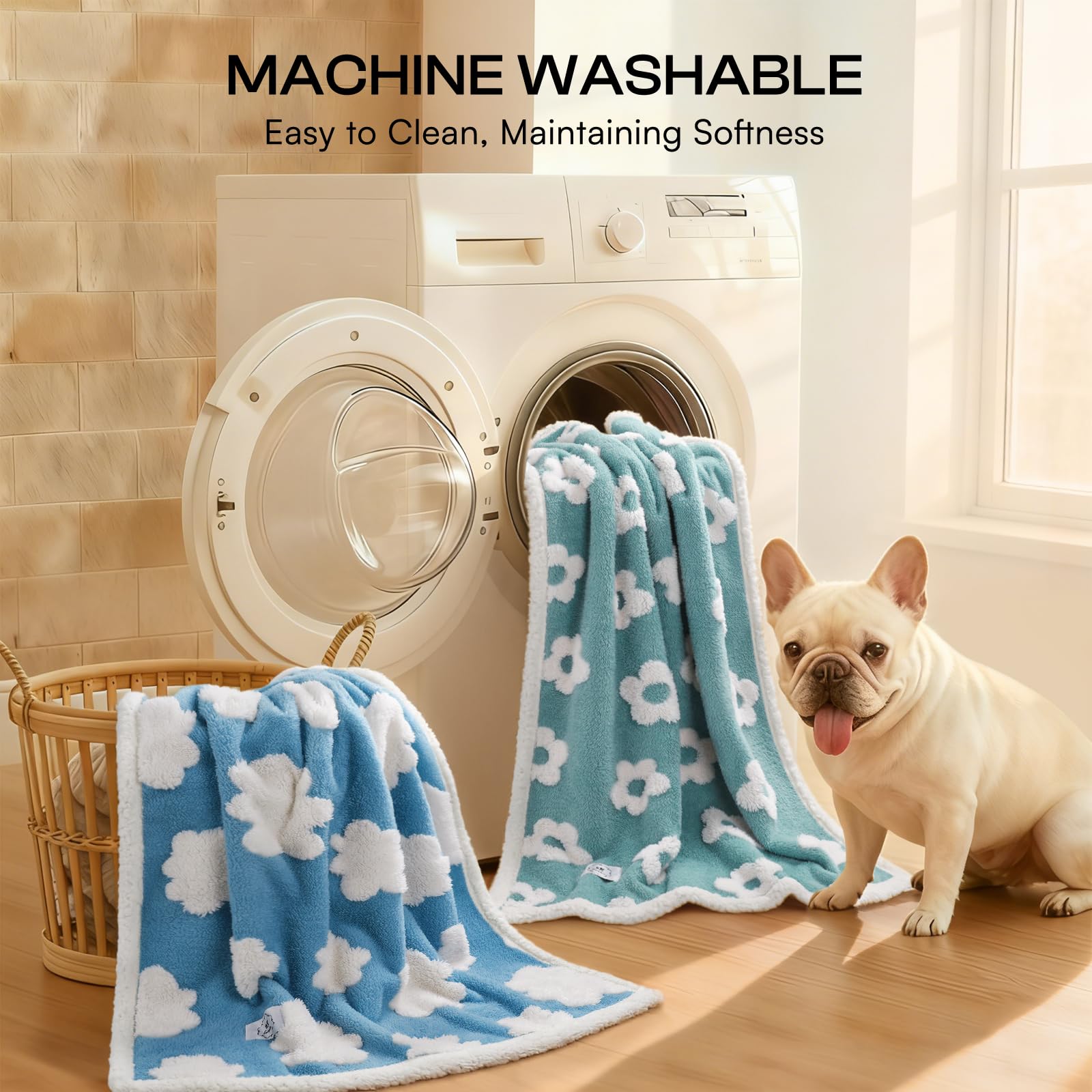 Size options chart for Luciphia waterproof pet blanket